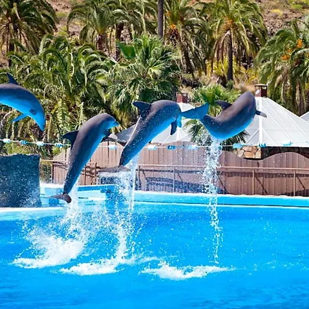 El Nido De Los Angeles דירה *