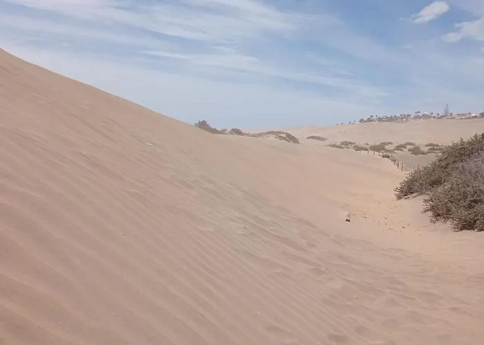 شقة El Nido De Los Angeles